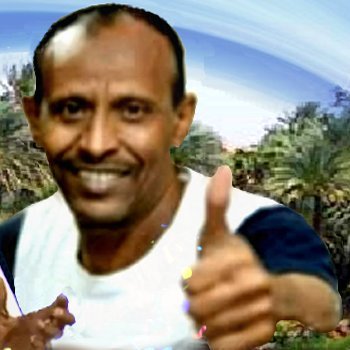 Assem Khitam